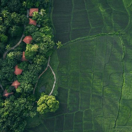 Jetwing Kaduruketha Hotel Wellawaya Buitenkant foto