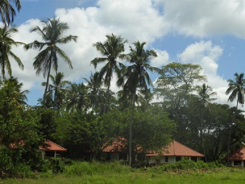 Jetwing Kaduruketha Hotel Wellawaya Buitenkant foto