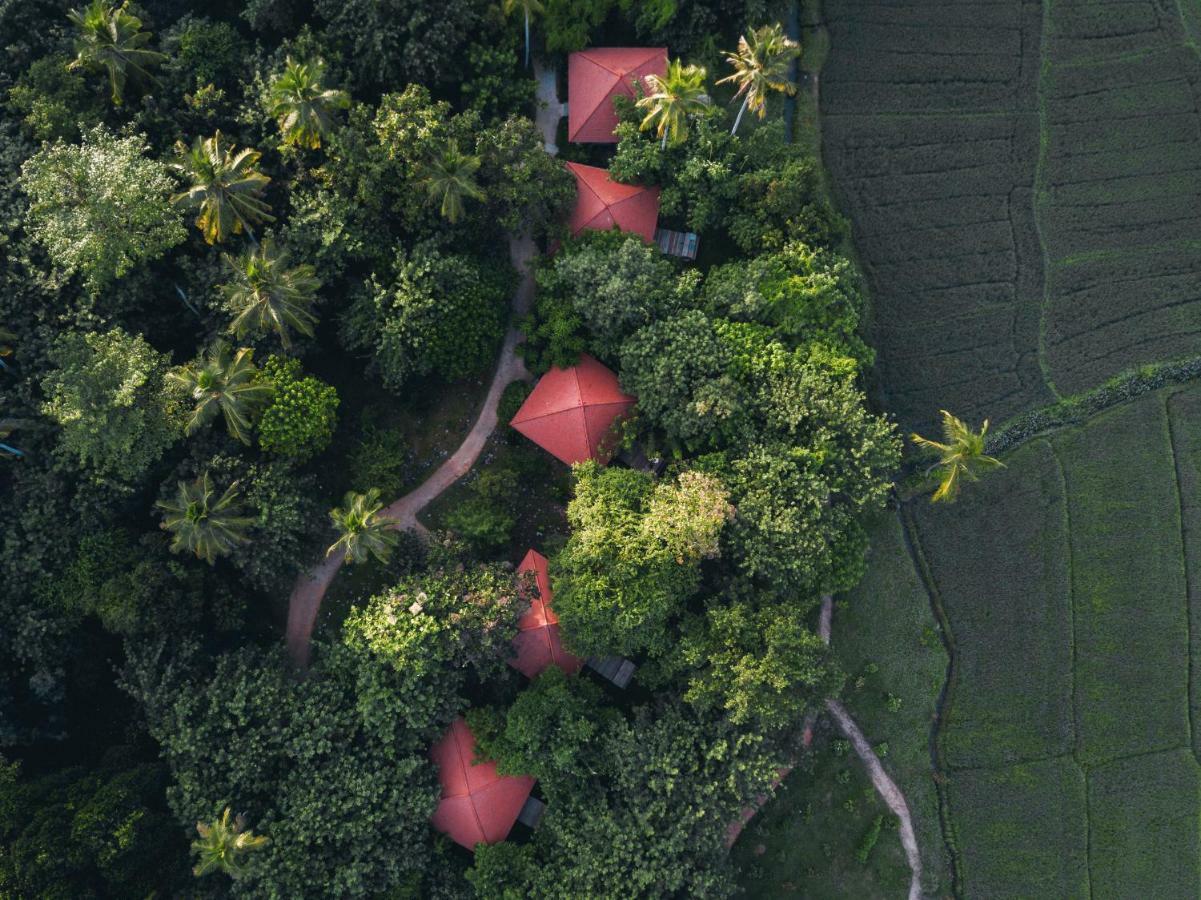 Jetwing Kaduruketha Hotel Wellawaya Buitenkant foto